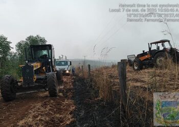 Ação rápida de combate a incêndio em Figueirão impede alastramento do fogo na região da Furna do Macaco