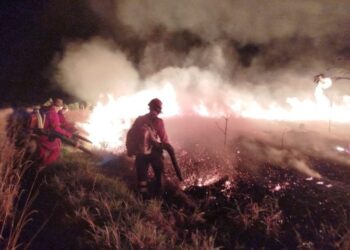 Operação Pantanal: atuação do Corpo de Bombeiros contribui para controle de incêndio em parque estadual de MS