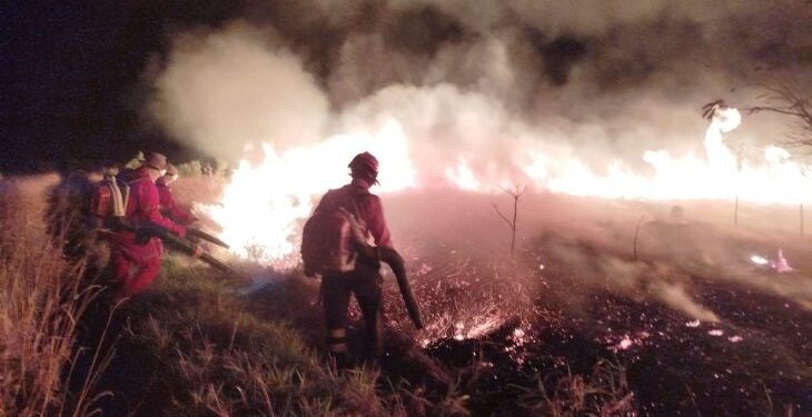 Operação Pantanal: atuação do Corpo de Bombeiros contribui para controle de incêndio em parque estadual de MS
