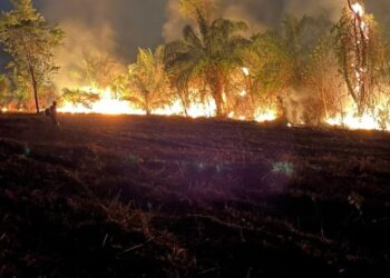 Prefeito Weliton Guimarães solicita ajuda federal e estadual para combater incêndio em Alcinópolis