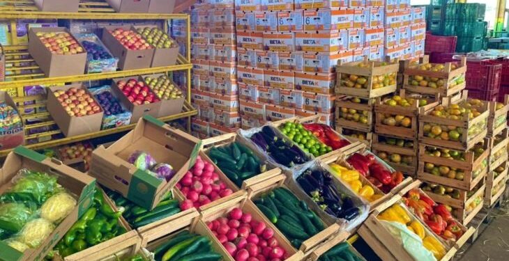 Ceasa de MS chega aos 46 anos conectando produtores e comerciantes, impulsionando a economia local