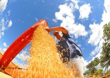 Valor Bruto da Produção Agropecuária de Mato Grosso do Sul cresce 23,6% e atinge R$ 76,3 bilhões