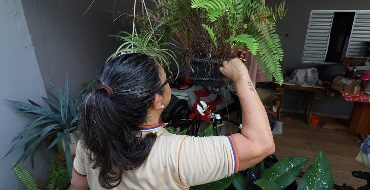 Contra o mosquito, todos do mesmo lado: Mato Grosso do Sul realiza ‘Dia D’ de Combate à Dengue
