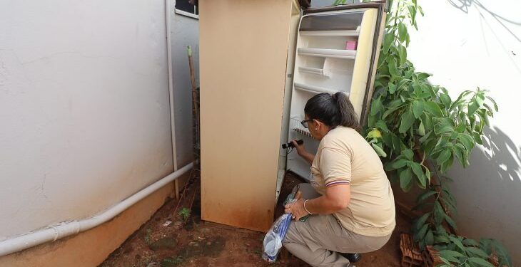 Boletim Epidemiológico: MS registra 8.299 casos confirmados de dengue