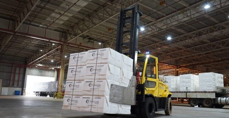 Celulose mantém liderança e exportações de MS crescem 4,24% no acumulado de janeiro a outubro de 2025