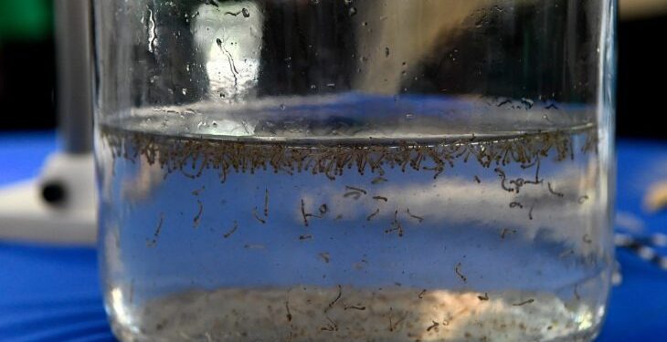 Em parceria com a SES, Bioparque Pantanal realiza “Dia D” de combate à dengue