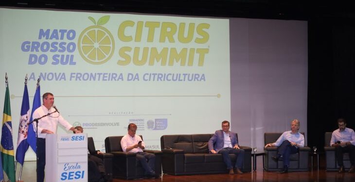 Com apoio do Estado e ambiente positivo, citricultura de MS avança como nova fronteira agrícola brasileira
