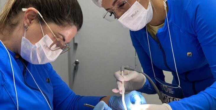 Teleatendimento e diagnóstico bucal ganham reforço com nova etapa do MS Estado Saudável em Inocência