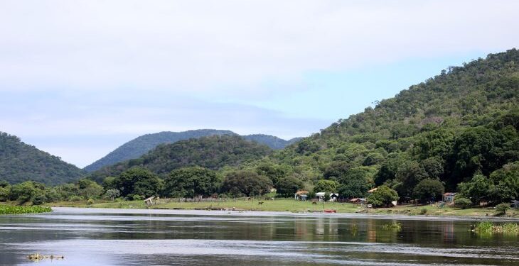 Aprovada a criação da MS Ativos Ambientais, empresa que passa a gerir o patrimônio natural do Estado