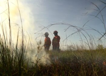 Operação Pantanal 2025 apresenta balanço com redução expressiva em focos de incêndios e hectares afetados