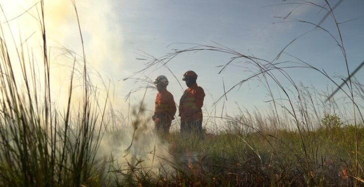 Operação Pantanal 2025 apresenta balanço com redução expressiva em focos de incêndios e hectares afetados