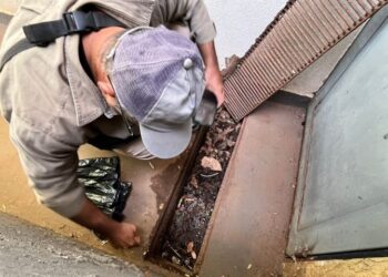 Dengue atinge mais de 8,3 mil pessoas em Mato Grosso do Sul em 2025