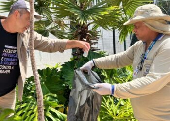 Boletim Epidemiológico: MS registra 8.430 casos confirmados de dengue