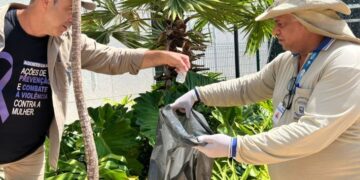 Boletim Epidemiológico: MS registra 8.430 casos confirmados de dengue