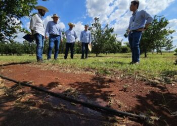 Governo avança em capacitações do MS Irriga e destaca potencial para irrigar 4 milhões de hectares