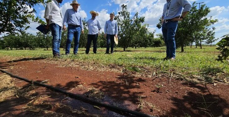 Governo avança em capacitações do MS Irriga e destaca potencial para irrigar 4 milhões de hectares