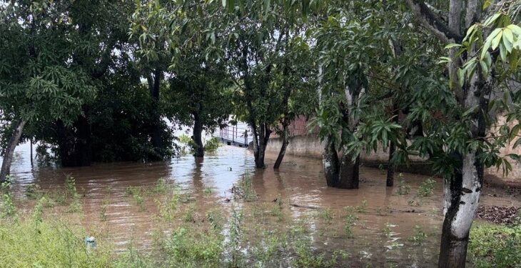 Defesa Civil de Mato Grosso do Sul se mobiliza após municípios serem afetados por chuvas intensas