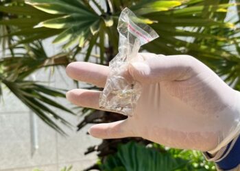 Boletim Epidemiológico: MS registra 107 casos confirmados de dengue