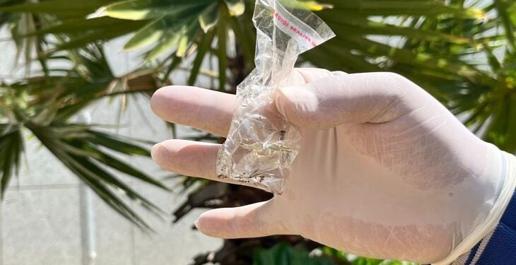 Boletim Epidemiológico: MS registra 107 casos confirmados de dengue