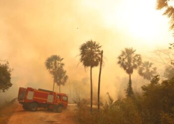 El Niño eleva risco de fogo no Pantanal, e MS assegura resposta estratégica com bases avançadas, aeronaves e tecnologia
