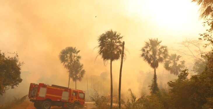 El Niño eleva risco de fogo no Pantanal, e MS assegura resposta estratégica com bases avançadas, aeronaves e tecnologia