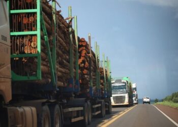Rota da Celulose: concessão garante segurança viária e inovações a Mato Grosso do Sul