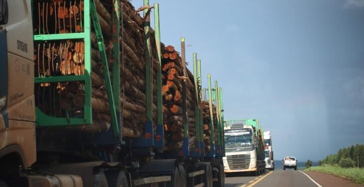Rota da Celulose: concessão garante segurança viária e inovações a Mato Grosso do Sul