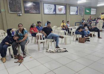 Camapuã promove 160 castrações em parceria com governo estadual