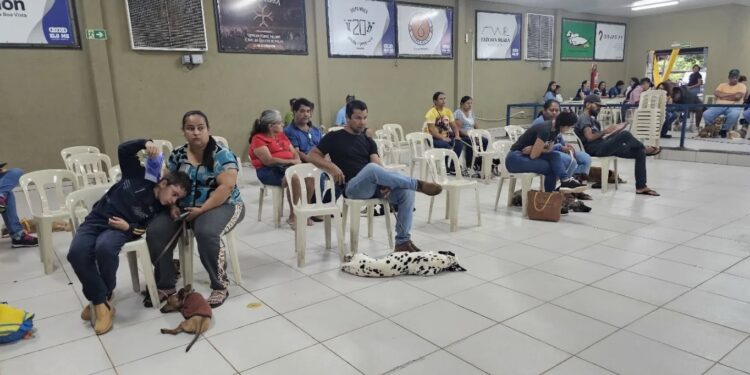 Camapuã promove 160 castrações em parceria com governo estadual