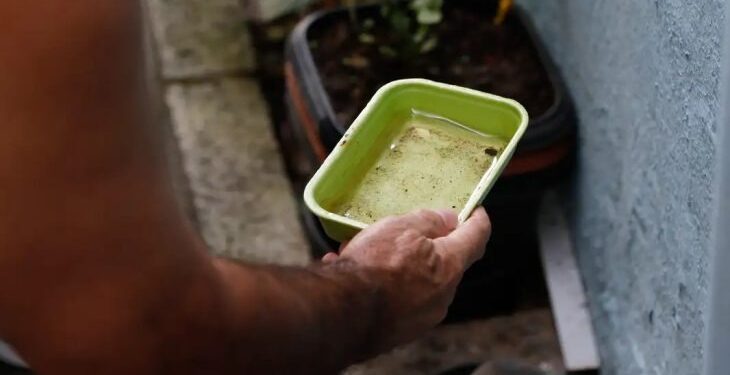 Entre a folia e o cuidado: SES alerta para prevenção contra a dengue e chikungunya no Carnaval