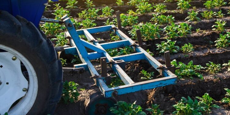 Agricultura familiar amplia acesso a máquinas e tecnologia no Brasil