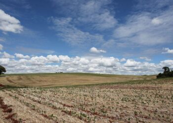 Mudanças climáticas já impactam produção agrícola em diversas regiões