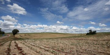 Mudanças climáticas já impactam produção agrícola em diversas regiões