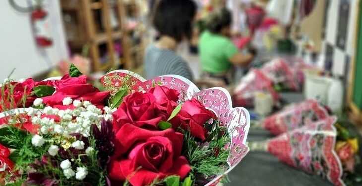 Dia da Mulher: Procon de Mato Grosso do Sul divulga pesquisa sobre flores e autocuidado