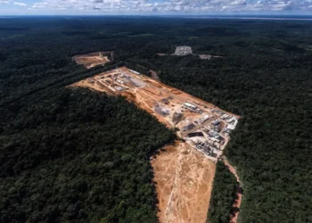 Planeta perdeu mais de 41 milhões de hectares de florestas em uma década, alerta ONU