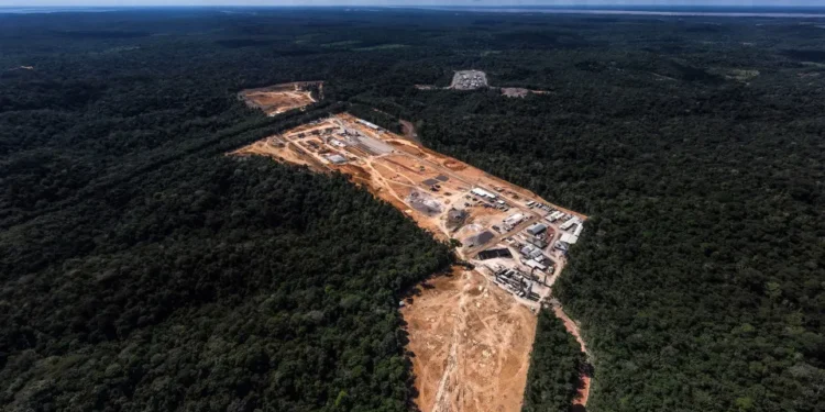 Planeta perdeu mais de 41 milhões de hectares de florestas em uma década, alerta ONU