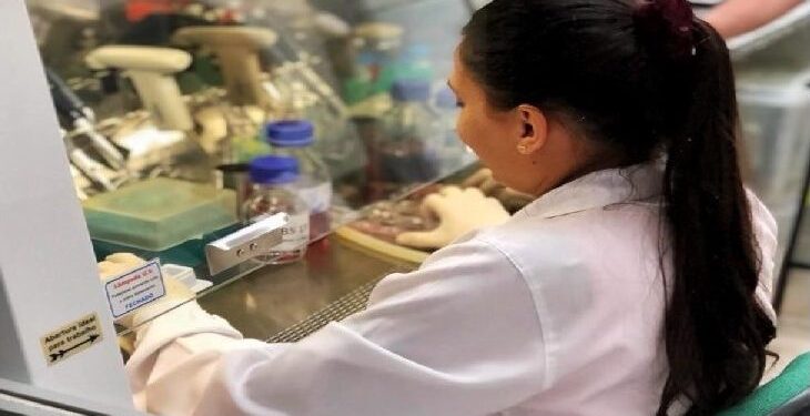 Centelha MS ganha novo prazo para inscrições de ideias inovadoras