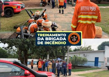 Capacitação para Brigadistas de Alcinópolis: Preparação e Prevenção em Época de Incêndios