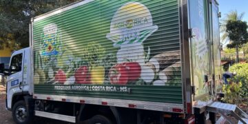 Costa Rica fortalece a fruticultura e amplia espaço no mercado estadual com produção de limão Taiti