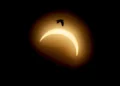 Eclipse solar total escurece partes da Europa e impressiona observadores; veja fotos