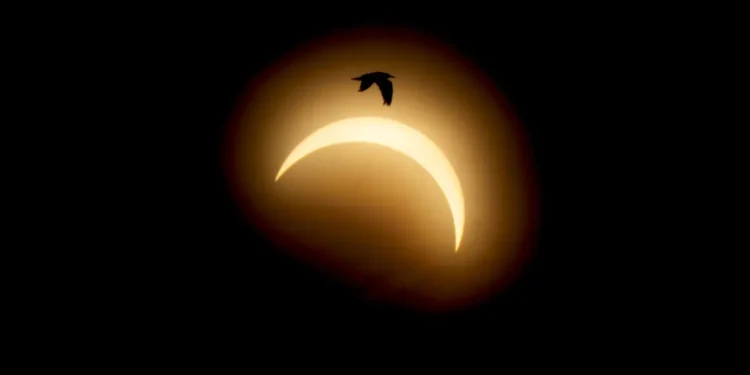 Eclipse solar total escurece partes da Europa e impressiona observadores; veja fotos