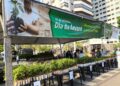 Campo Grande distribui 10 mil mudas frutíferas gratuitamente neste sábado