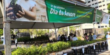 Campo Grande distribui 10 mil mudas frutíferas gratuitamente neste sábado