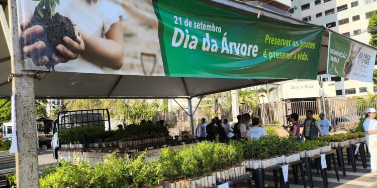 Campo Grande distribui 10 mil mudas frutíferas gratuitamente neste sábado