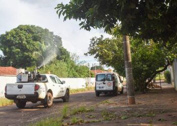 Fumacê passa pelos bairros Los Angeles e Lageado nesta quinta-feira em Campo Grande