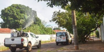 Fumacê passa pelos bairros Los Angeles e Lageado nesta quinta-feira em Campo Grande