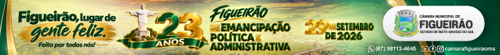 camara figueirao camara figueirao