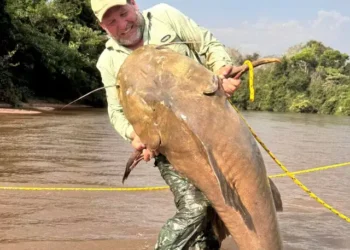 Jaú de 1,74 metro e 80 quilos surpreende pescador durante pescaria em Alcinópolis