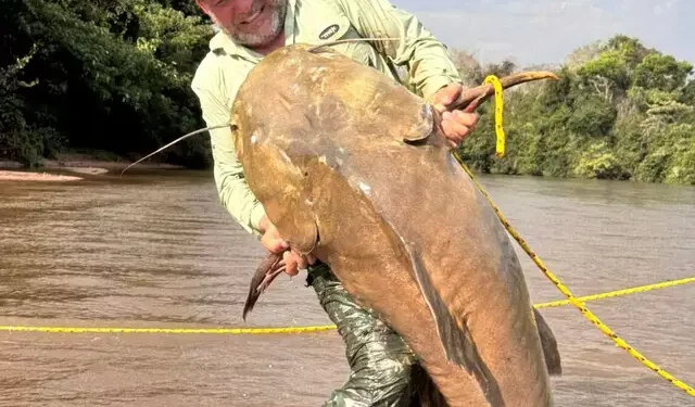 Jaú de 1,74 metro e 80 quilos surpreende pescador durante pescaria em Alcinópolis