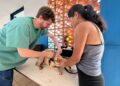 Atendimento veterinário gratuito começa nesta segunda-feira no Maria Pedrossian